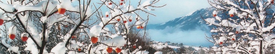 Inverno a Carr
